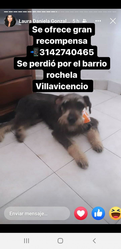 Toby