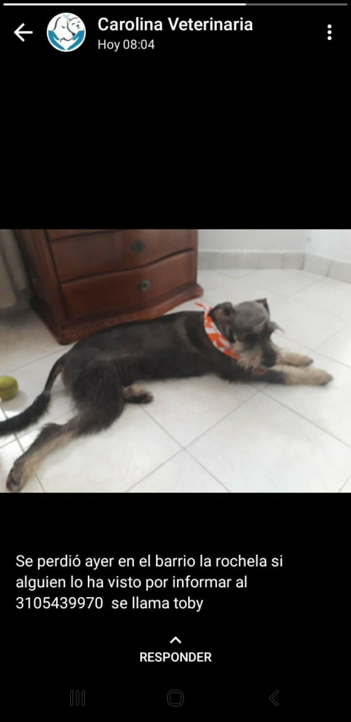 Toby