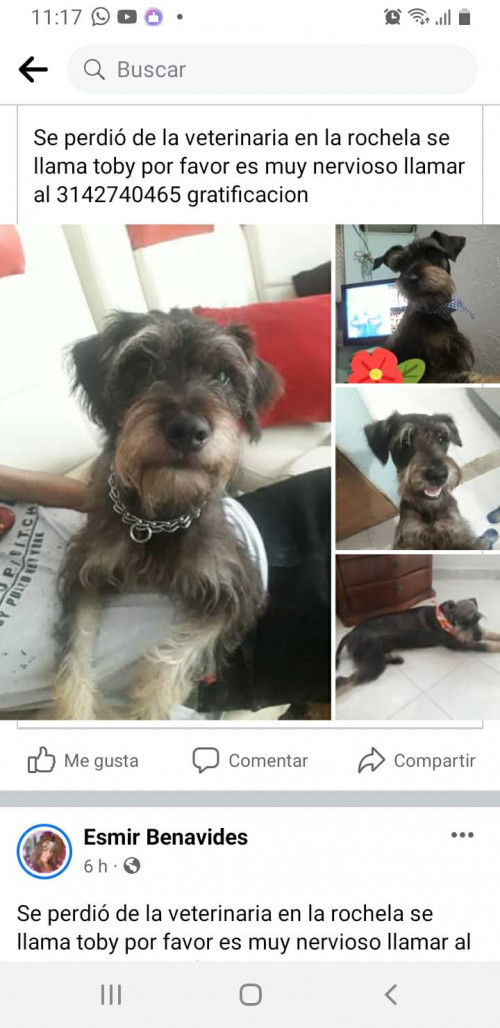 Toby