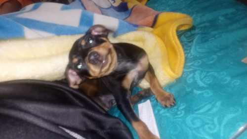 Roky Quintero