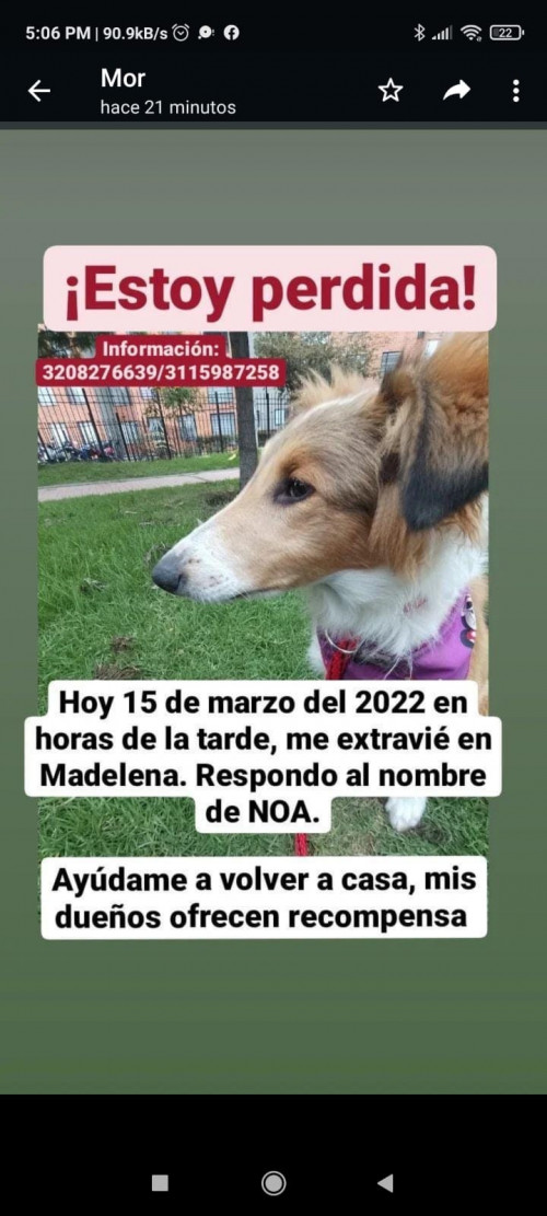 Noa