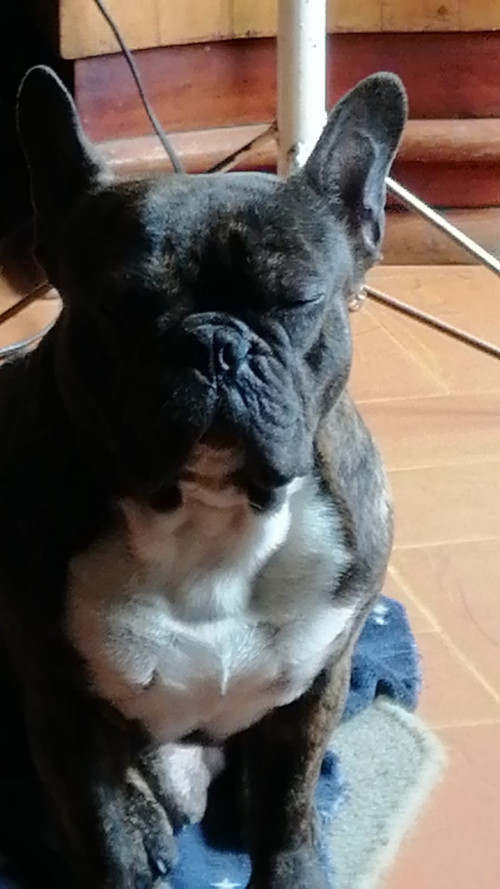 Rocky
