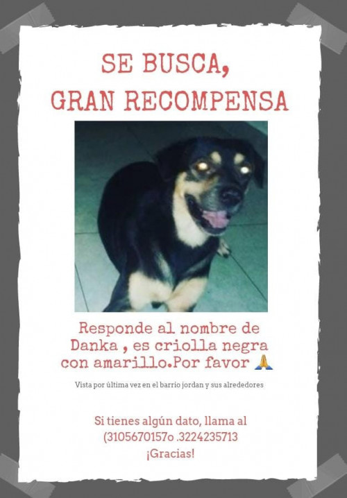 Danka