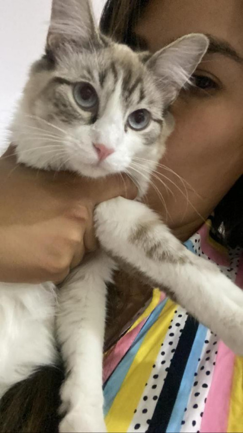 Milú 
