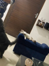 Foto de Milú  en Cali Valle del Cauca #5