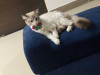 Foto de Milú  en Cali Valle del Cauca #4