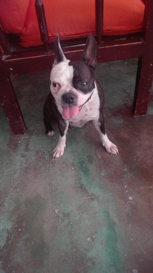 Nena