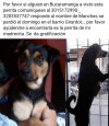 Foto de Manchas en Bucaramanga Santander #3