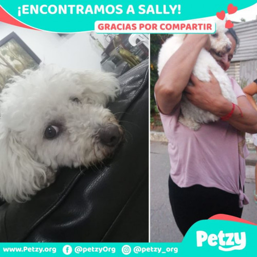 Foto de mascota Sally