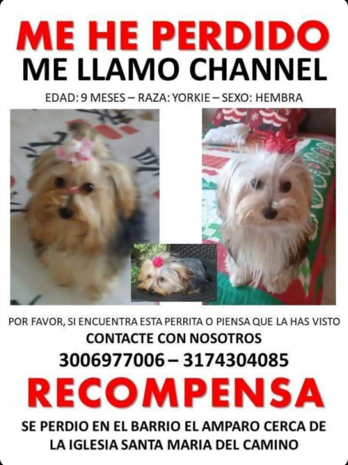Channel