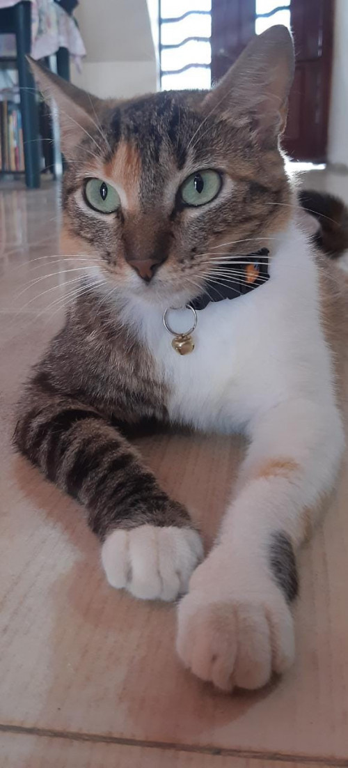 Luna