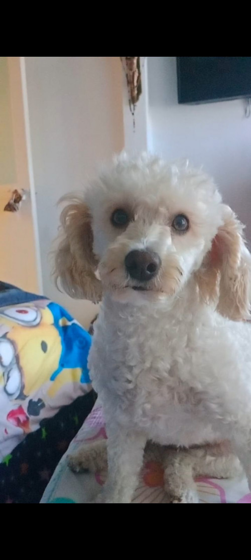 Minnie
