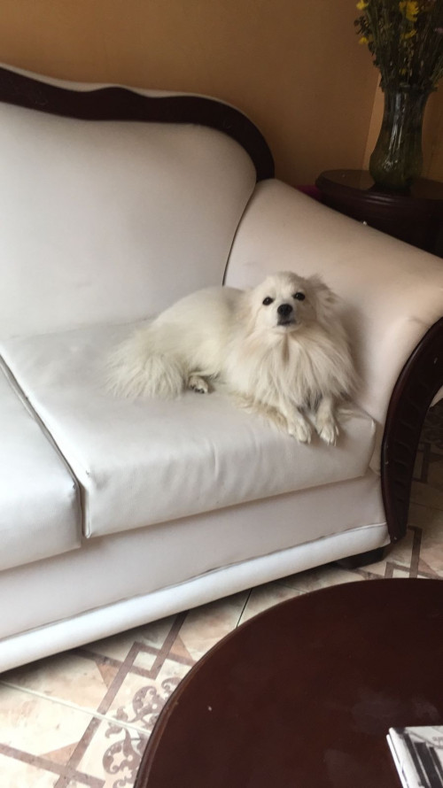 Ralph