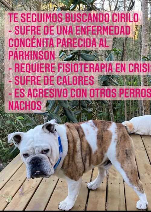 Cirilo 