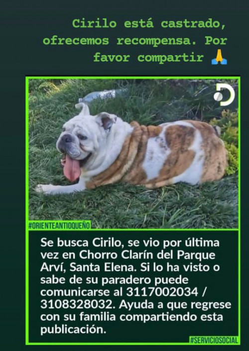 Cirilo 