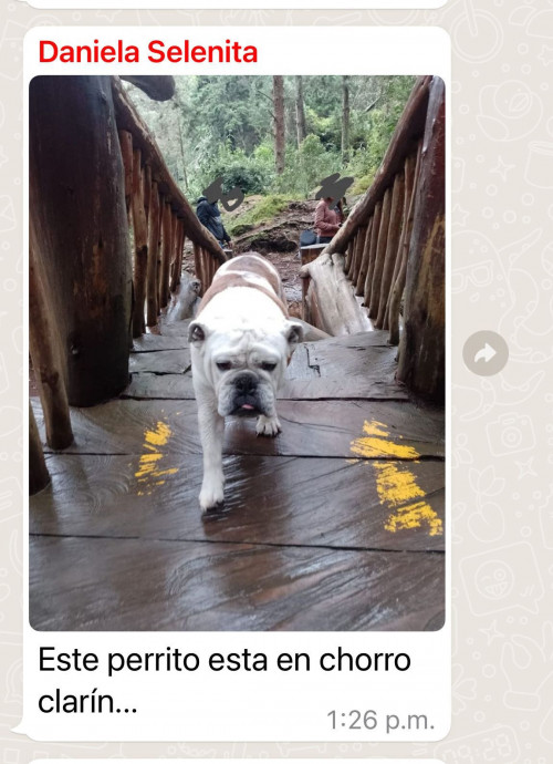 Cirilo 