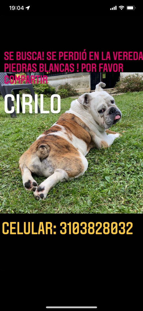 Cirilo 