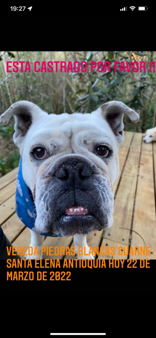Cirilo 