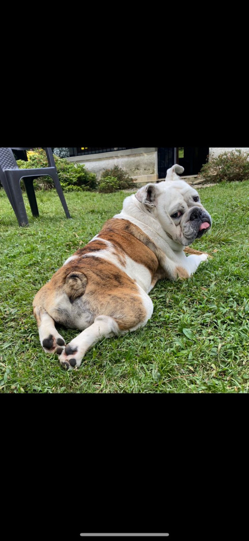Cirilo 