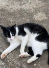 Foto de Gomita en Pasto Nariño #3