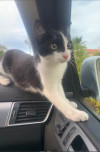 Foto de Gomita en Pasto Nariño #2