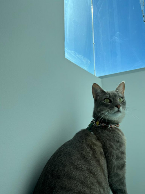Sol