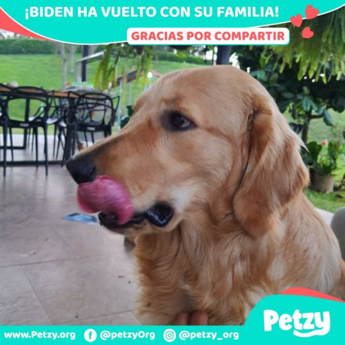 Foto de mascota Biden
