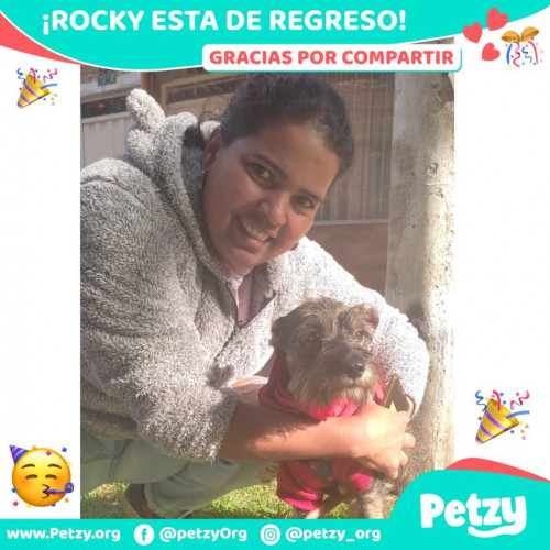 Foto de mascota Rocky