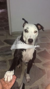 Foto de Jackie en Medellín Antioquia #4