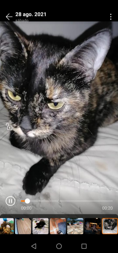 Kira