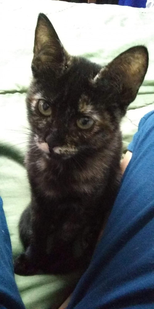 Kira