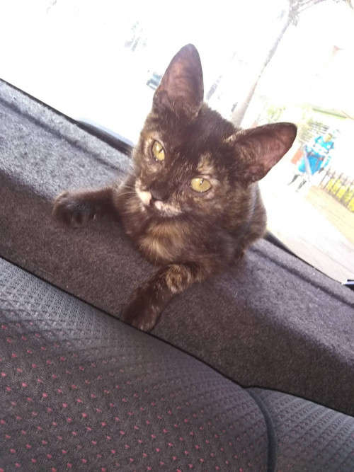 Kira