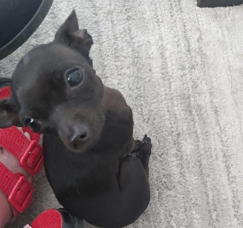 Minnie