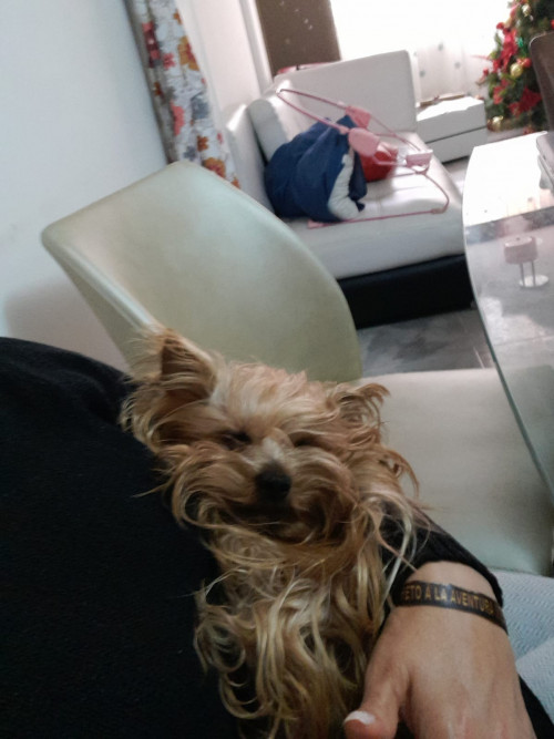 Coco
