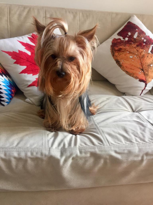 Coco