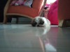 Foto de Asami en Villavicencio Meta #5