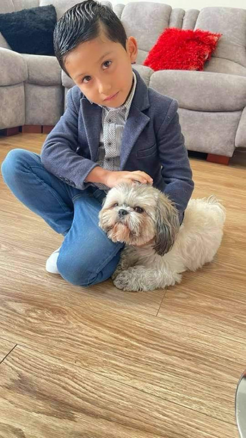 Toby