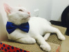 Foto de Romeo en Pereira Risaralda #3