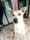 Foto de Goliat  en Cali Valle del Cauca #1