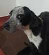 Foto de Lulu en Villavicencio Meta #0