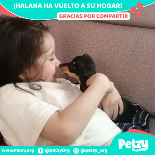 Foto de mascota Halana