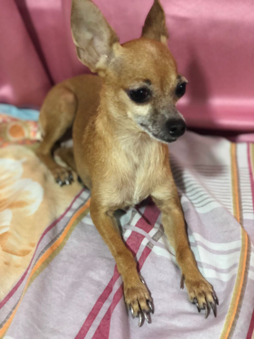 Minnie