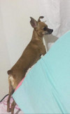 Foto de Minnie en Barranquilla Atlántico #1