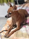 Foto de Minnie en Barranquilla Atlántico #0