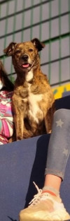 Foto de Marly en  Bogotá #3