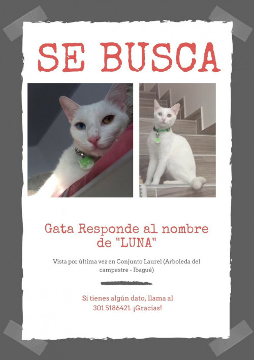 Luna