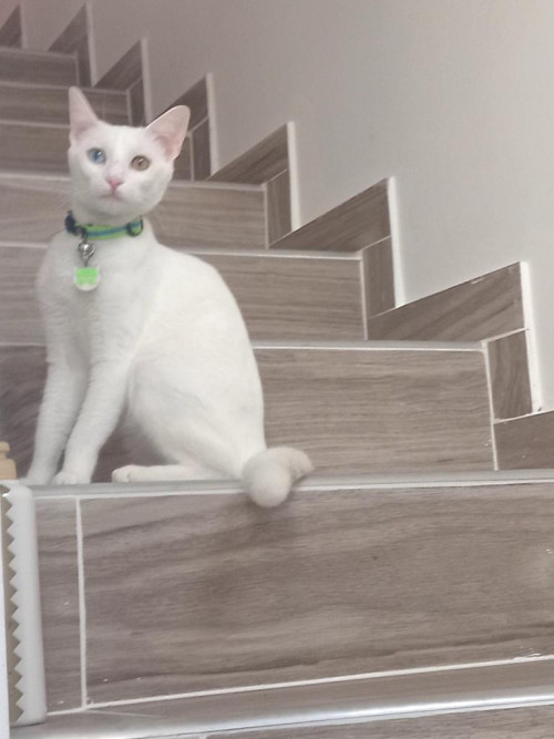 Luna