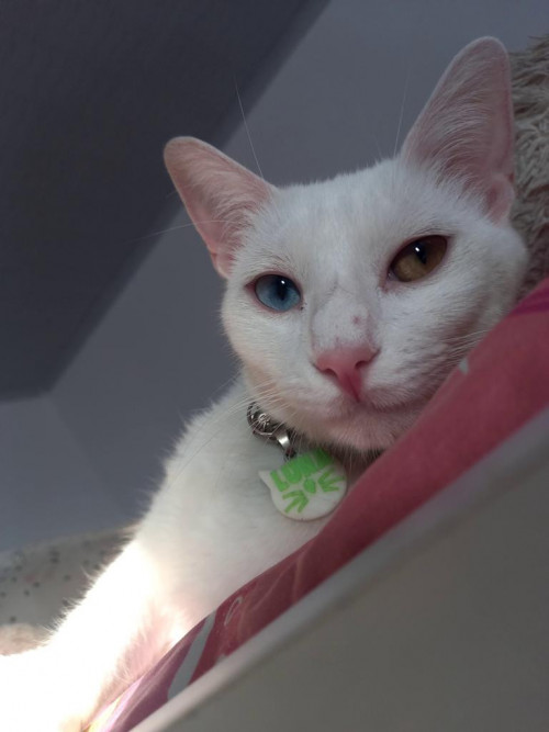 Luna