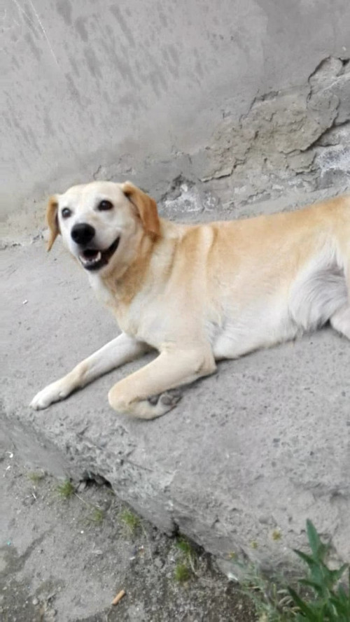 Muñeca