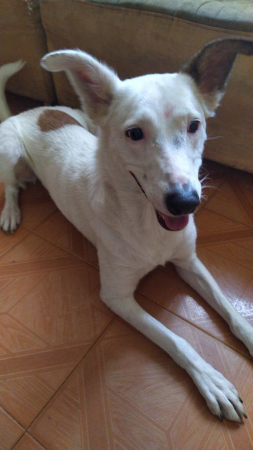 Samy 